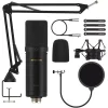 ZY-CA1 XLR Condenser Microphone Kit