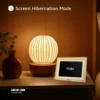 Green Lion digital picture frame with screen hibernation clock display